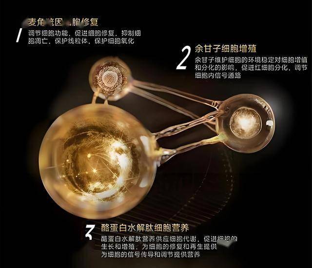 “大陆秀夫”遇上本尊！华硕中国总经理Tony大叔与小岛同框